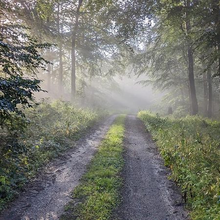 Ferienwohnung Rumbeck Hessisch Oldendorf Kültér fotó